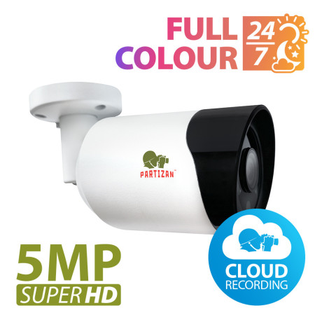 Partizan 5,0 MP IP-Kamera PO-5SP Vollfarbe 1.3 Cloud